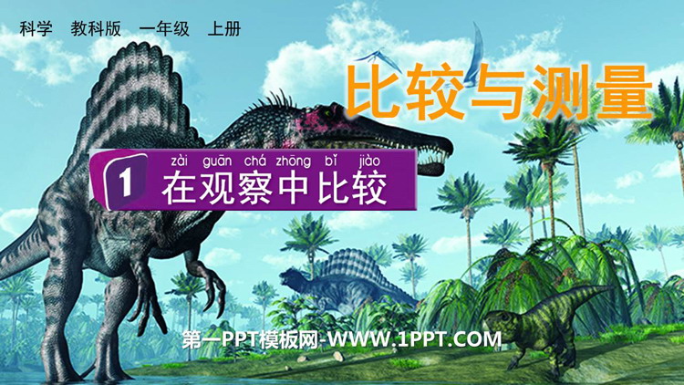 《在观察中比较》PPT教学课件下载