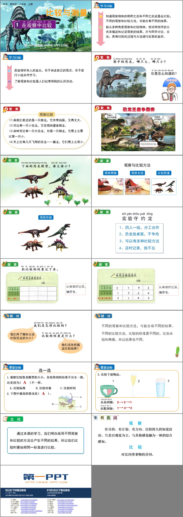 《在观察中比较》PPT教学课件下载
