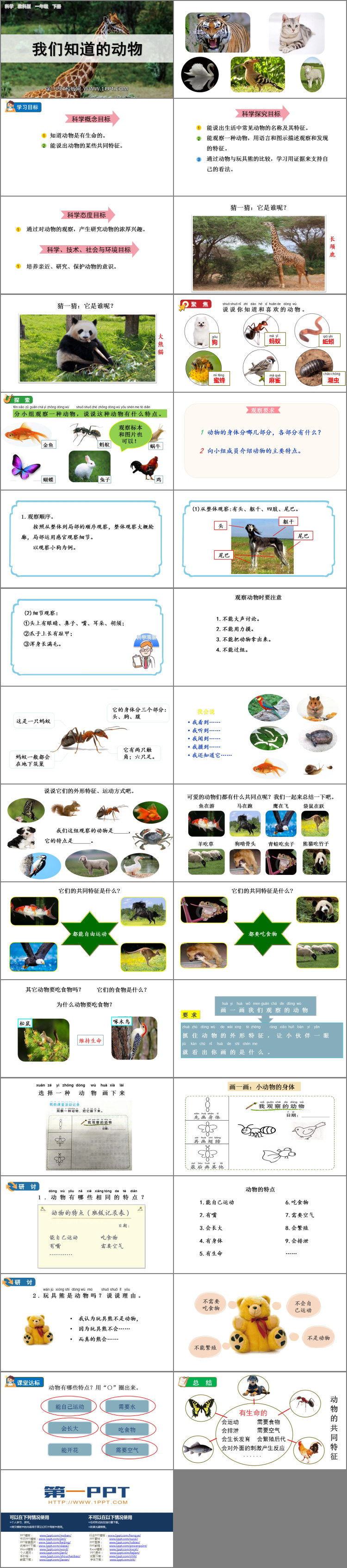 《我们知道的动物》PPT精品课件