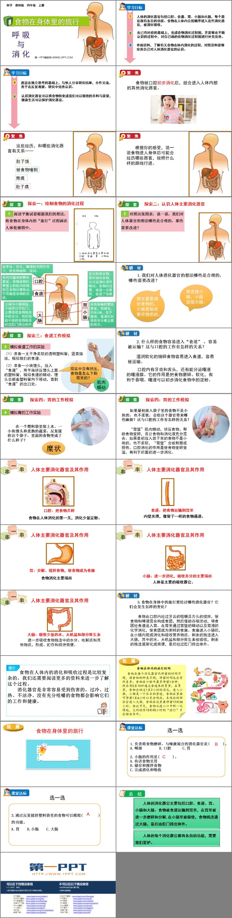 《食物在身体里的旅行》PPT教学课件