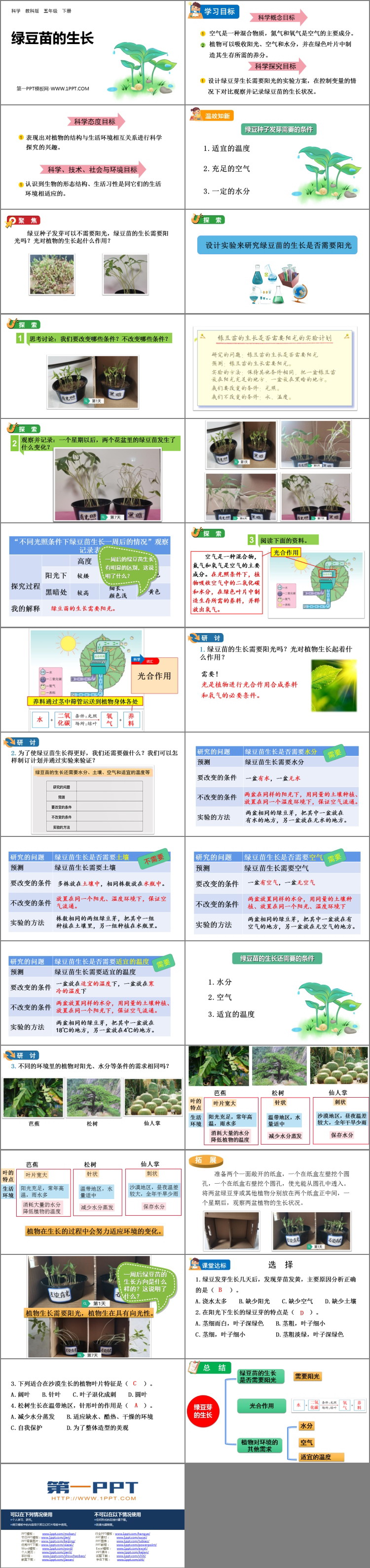 《绿豆苗的生长》PPT下载