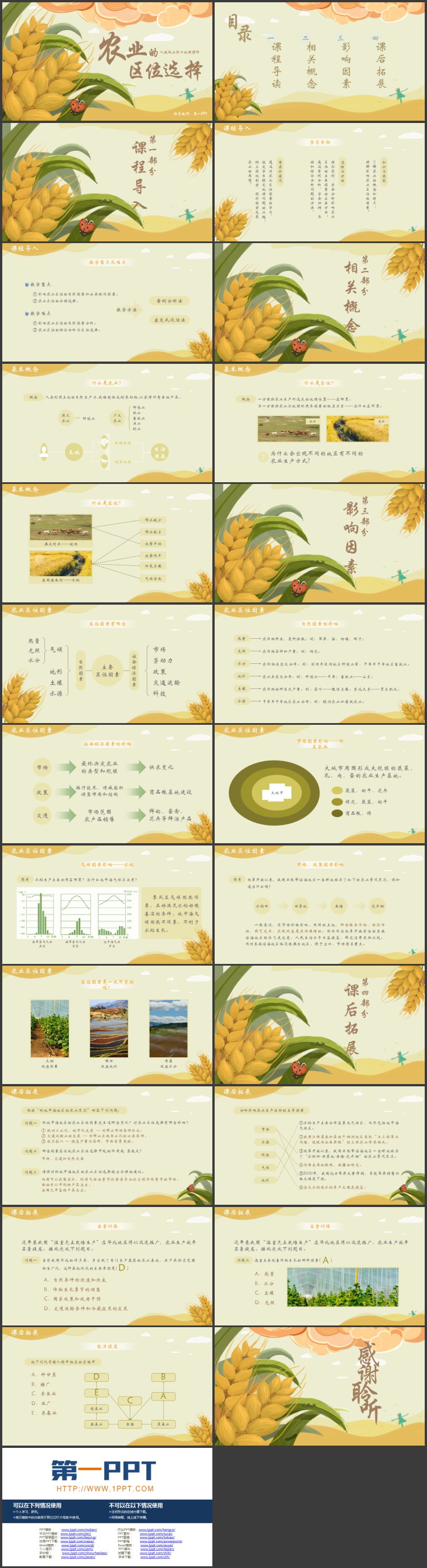 麦穗插画背景教学说课PPT模板下载