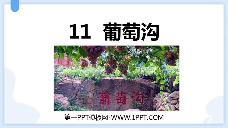 《葡萄沟》PPT精品免费课件