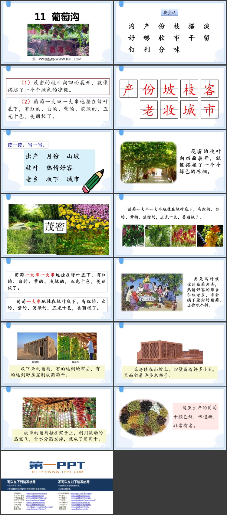 《葡萄沟》PPT精品免费课件