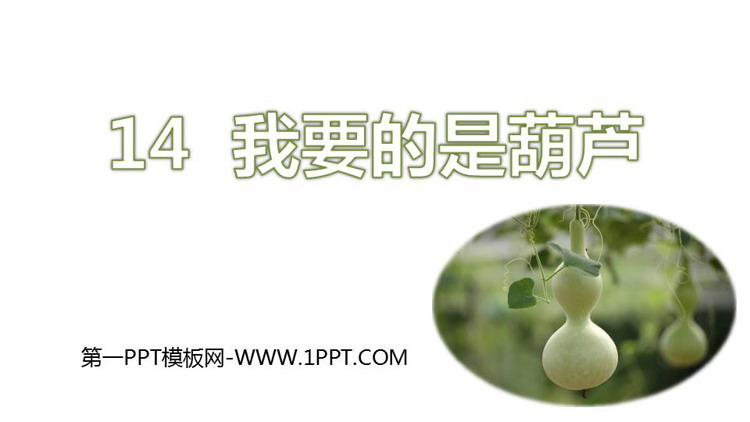 《我要的是葫芦》PPT精品免费课件下载