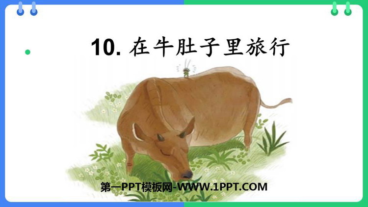 《在牛肚子里旅行》PPT免费教学课件