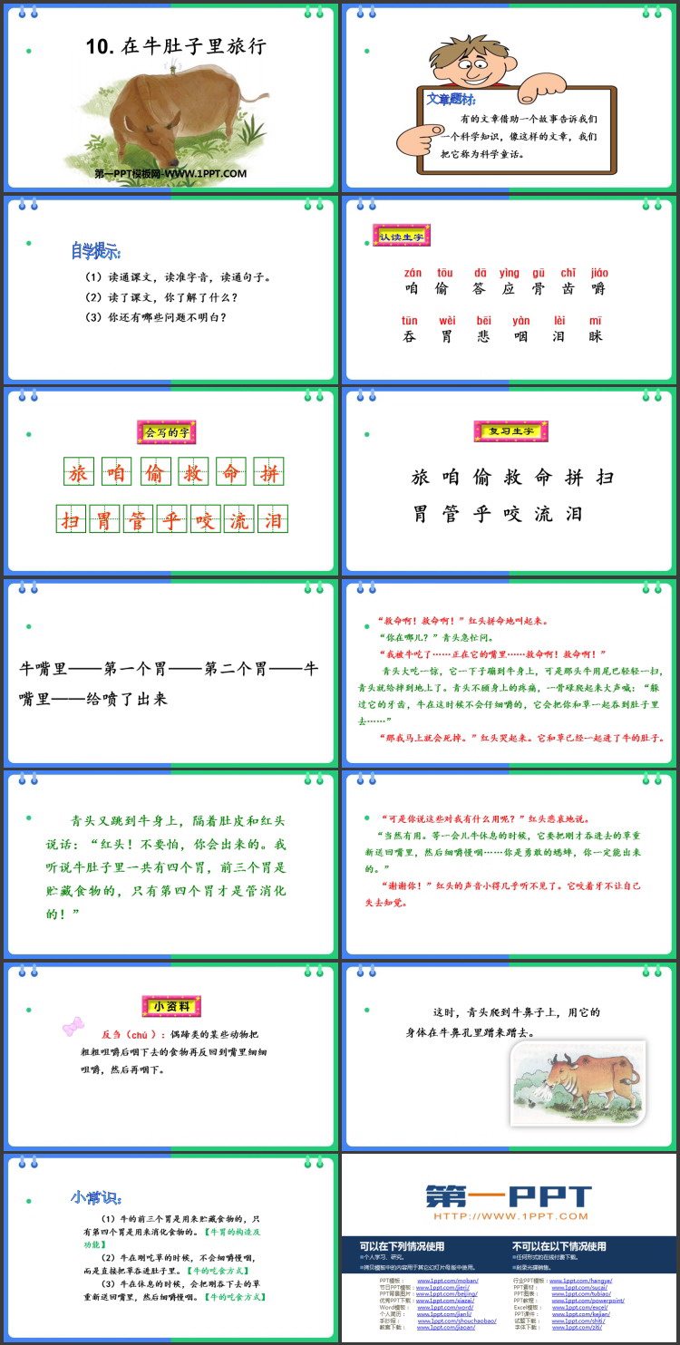 《在牛肚子里旅行》PPT免费教学课件