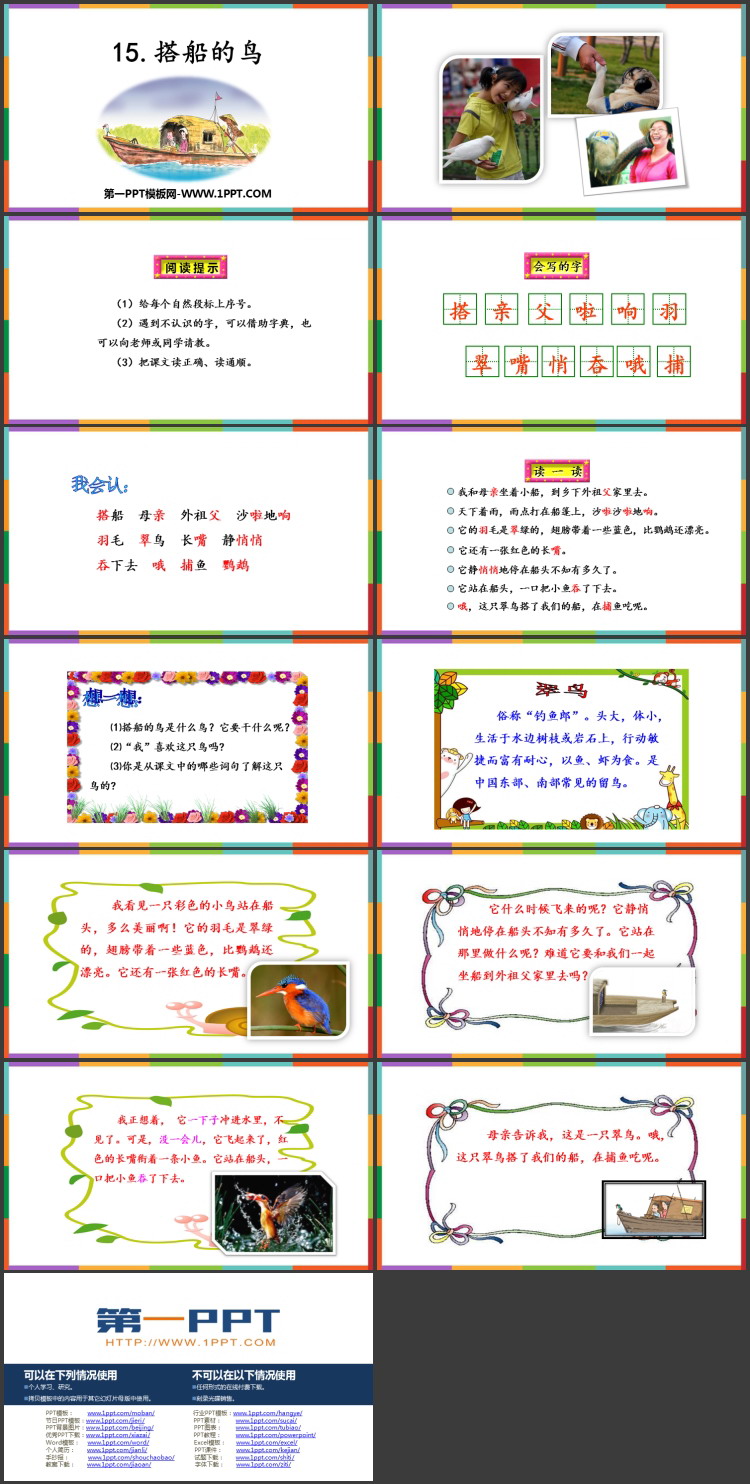 《搭船的鸟》PPT优质教学课件