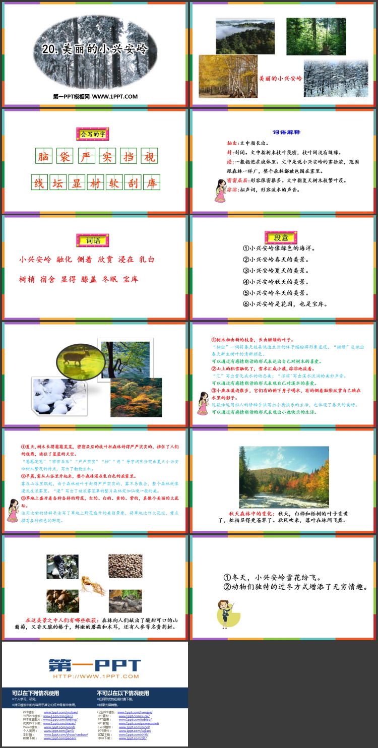 《美丽的小兴安岭》PPT精品免费课件