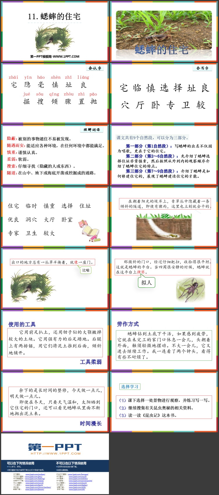《蟋蟀的住宅》PPT优质教学课件