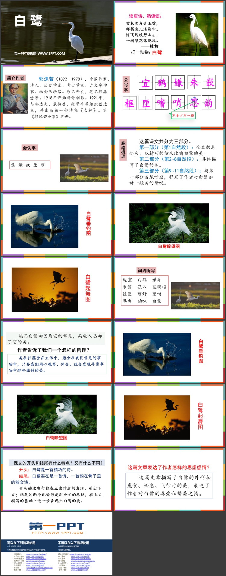《白鹭》PPT免费精品课件