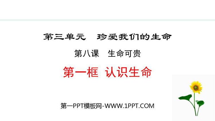 《认识生命》生命可贵PPT课件