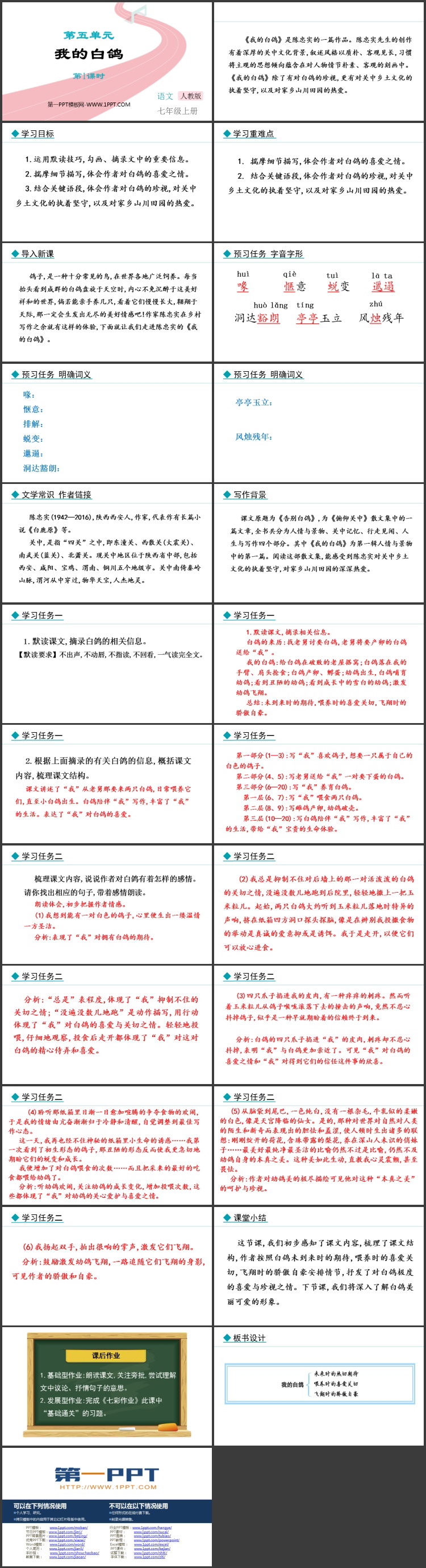《我的白鸽》PPT课件(第1课时)