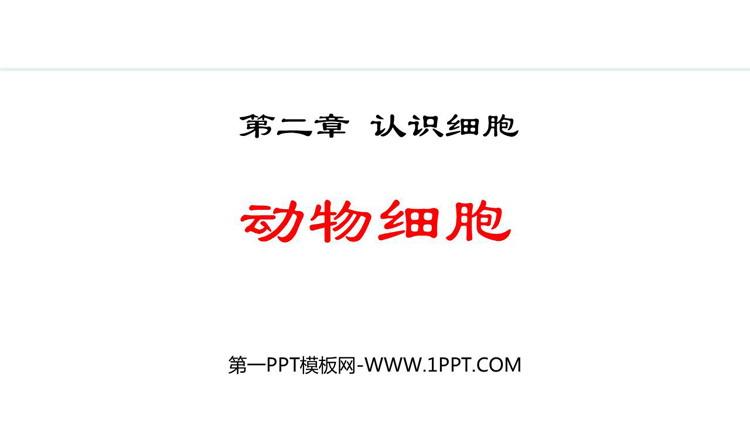 《动物细胞》PPT优质课件下载