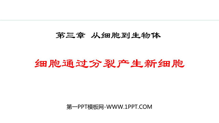 《细胞通过分裂产生新细胞》PPT优秀课件下载