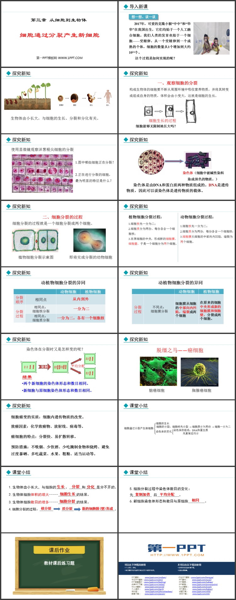 《细胞通过分裂产生新细胞》PPT优秀课件下载