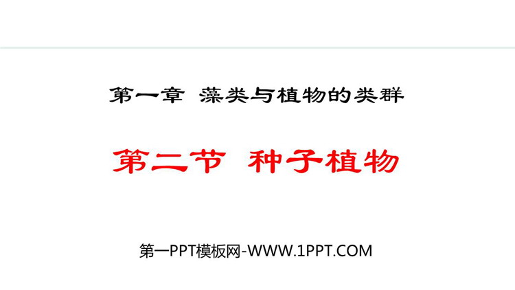 《种子植物》PPT精品教学课件