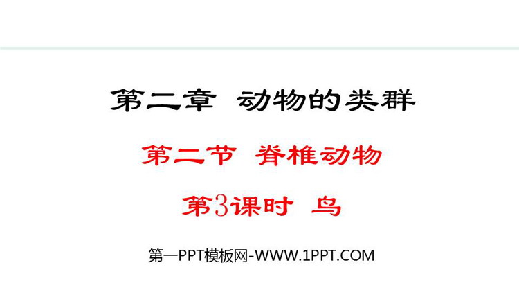 《鸟》脊椎动物PPT课件