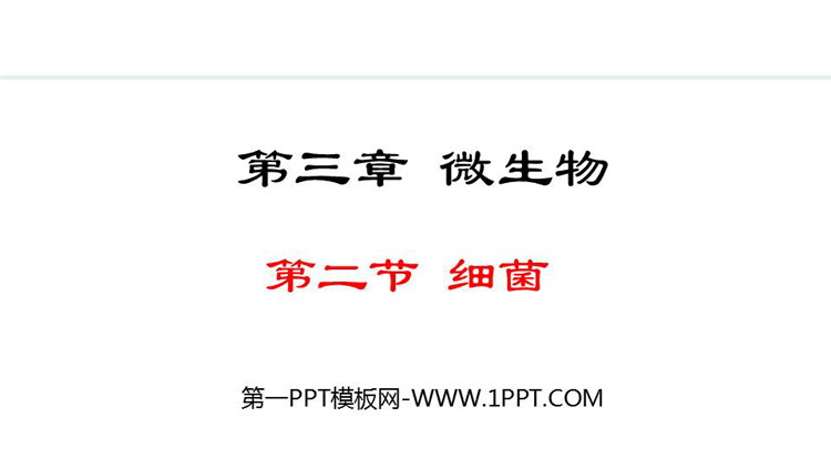 《细菌》PPT教学课件下载