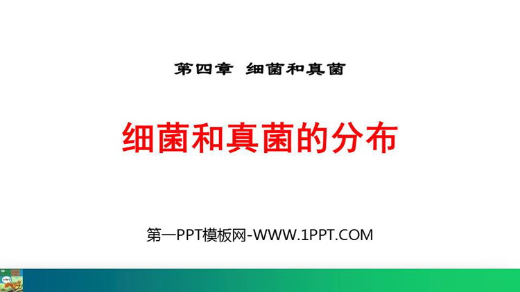 《细菌和真菌的分布》PPT教学课件下载