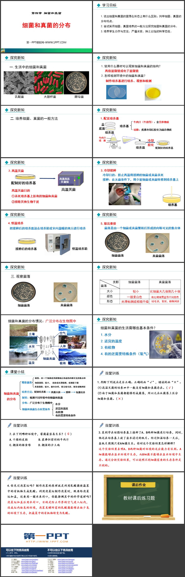 《细菌和真菌的分布》PPT教学课件下载
