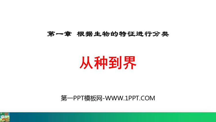 《从种到界》PPT免费课件下载