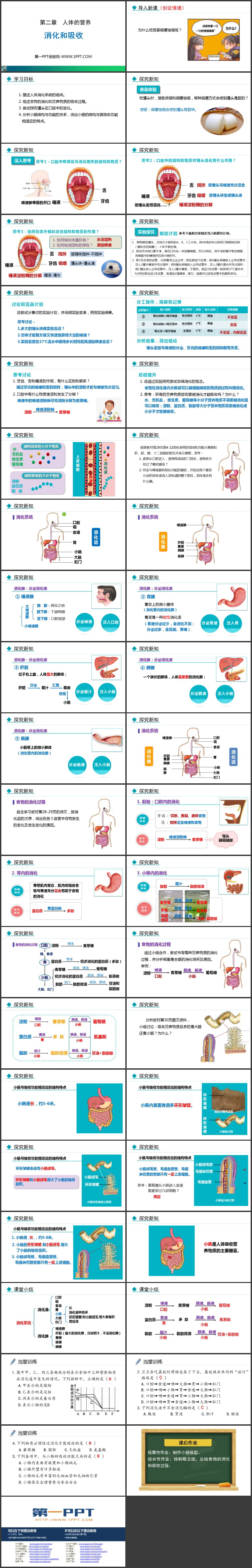 《消化和吸收》PPT优秀课件