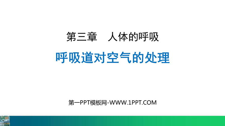 《呼吸道对空气的处理》PPT优秀课件下载