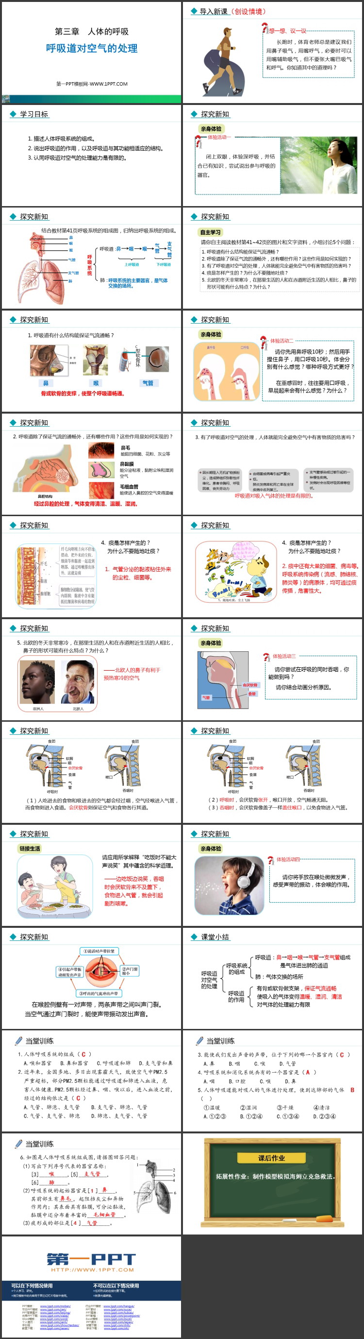 《呼吸道对空气的处理》PPT优秀课件下载