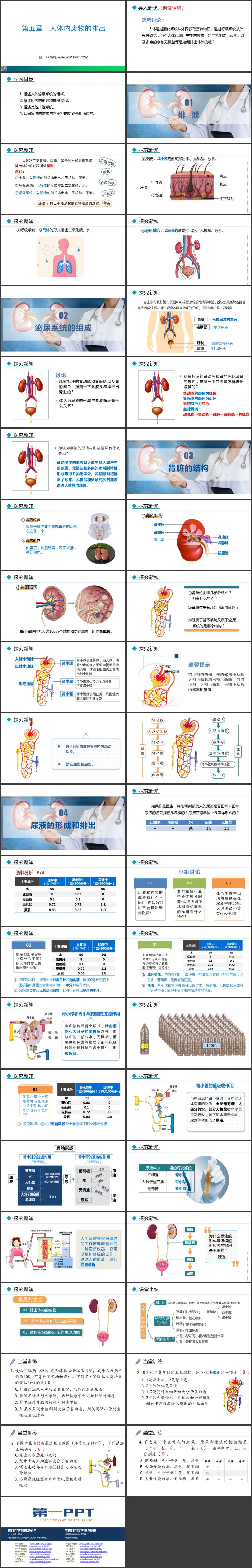 《人体内废物的排出》PPT优秀课件