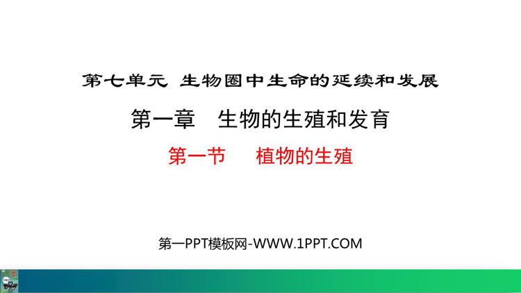 《植物的生殖》PPT免费课件下载