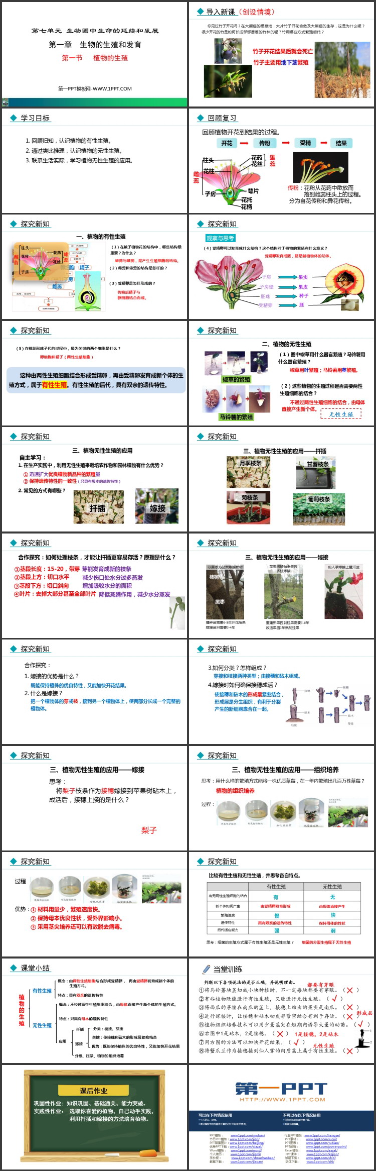《植物的生殖》PPT免费课件下载