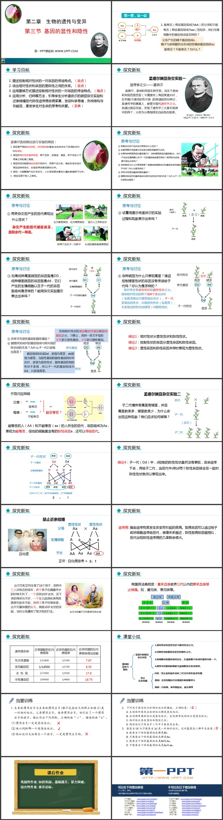 《基因的显性和隐性》PPT优秀课件下载