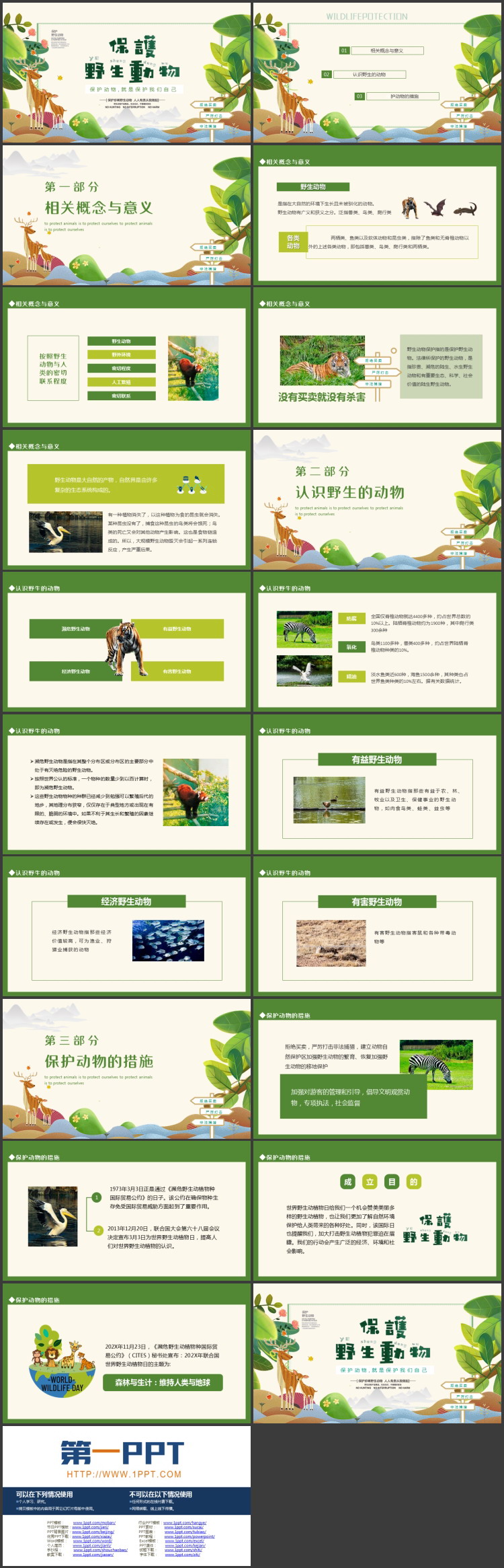 绿色卡通风格的保护野生动物PPT模板下载