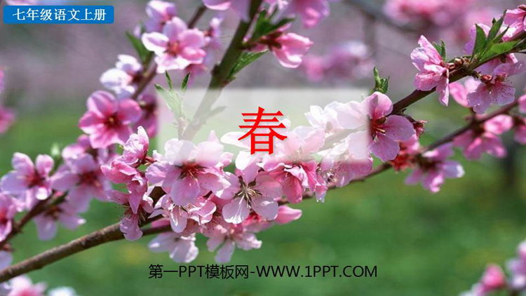 《春》PPT精品教学课件下载