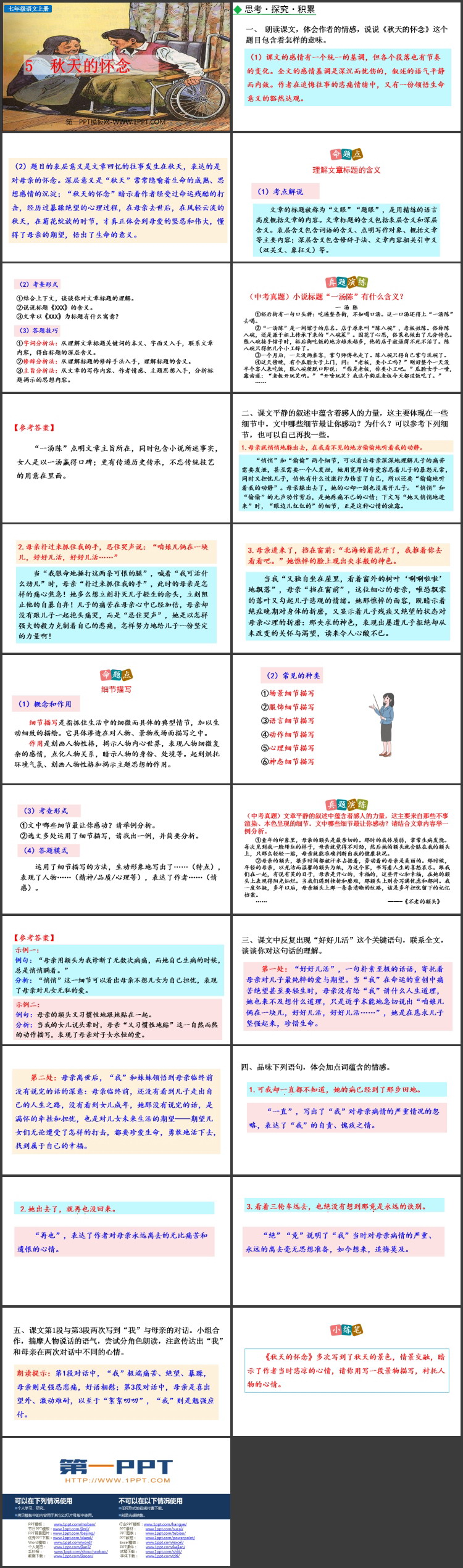 《秋天的怀念》PPT免费精品课件