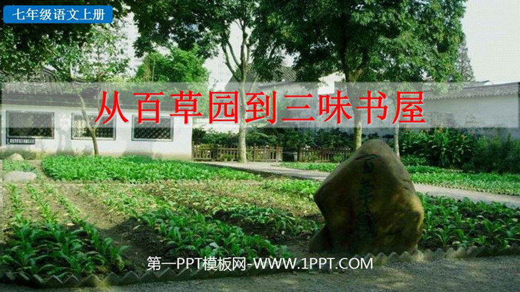 《从百草园到三味书屋》PPT精品教学课件下载