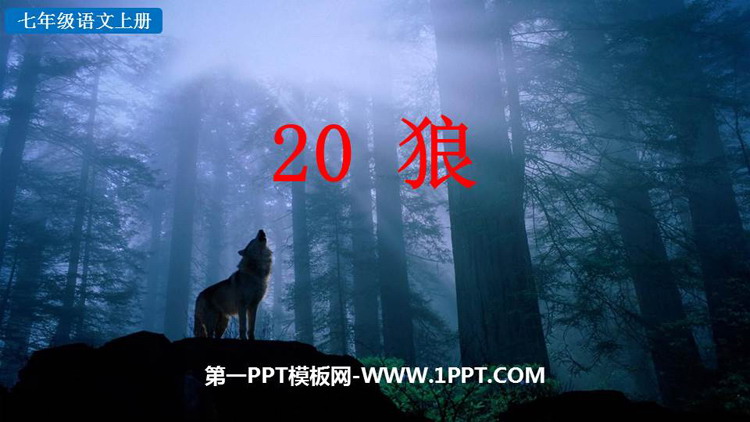 《狼》PPT优质教学课件