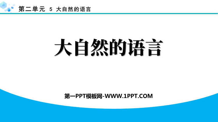《大自然的语言》PPT免费优质课件