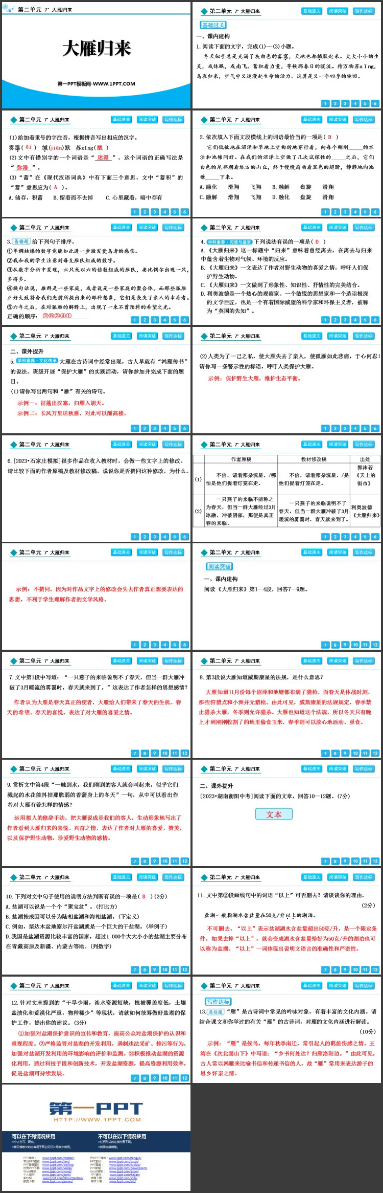 《大雁归来》PPT精品教学课件