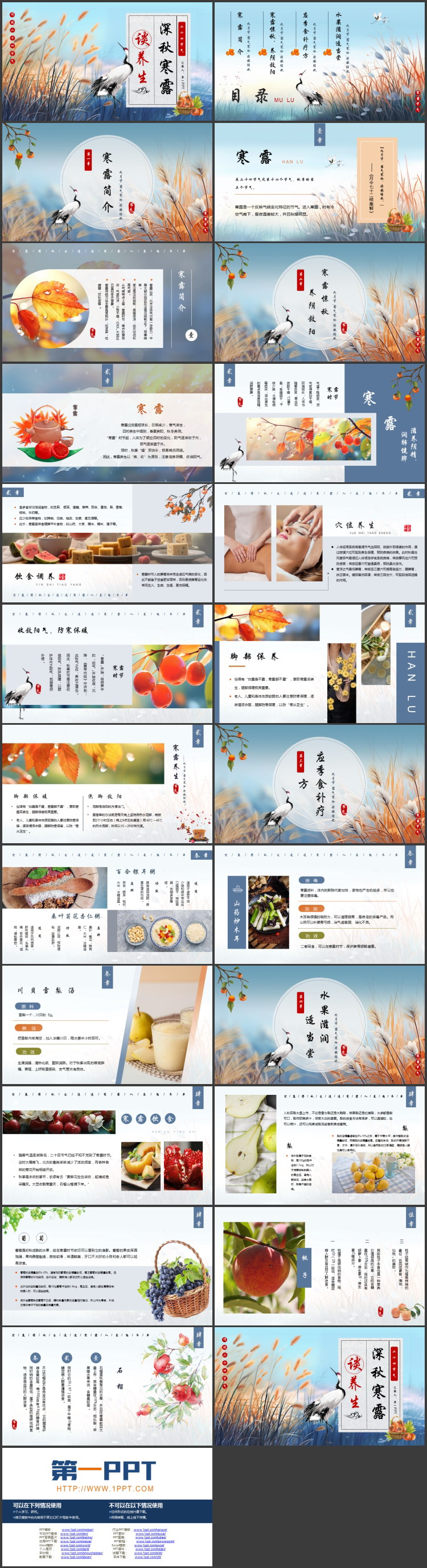 蓝色插画风深秋寒露谈养生PPT模板