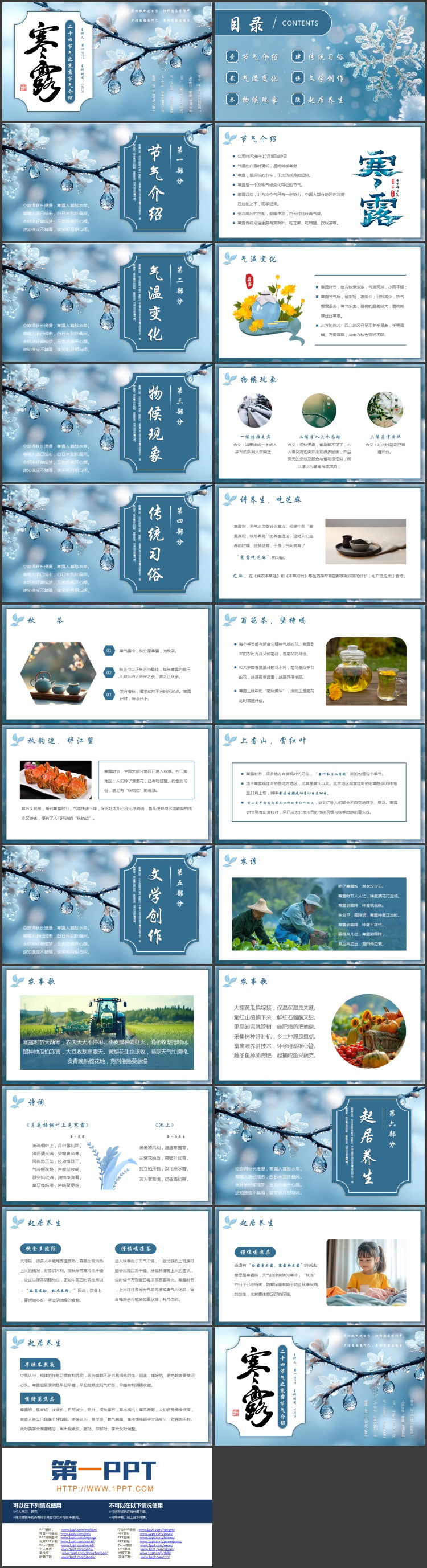 蓝色挂满露水的树枝背景的寒露节气介绍PPT模板