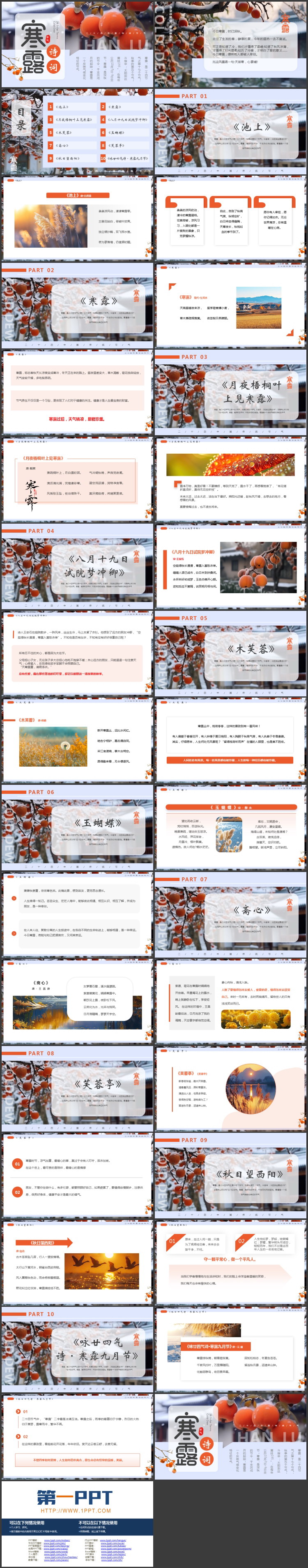 红蓝配色挂霜的柿子背景的寒露诗词鉴赏PPT模板