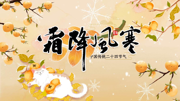 黄色柿子小猫背景的插画风“霜降风寒”传统节气介绍PPT模板