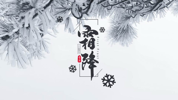 挂满霜的松树背景的霜降节气介绍PPT模板