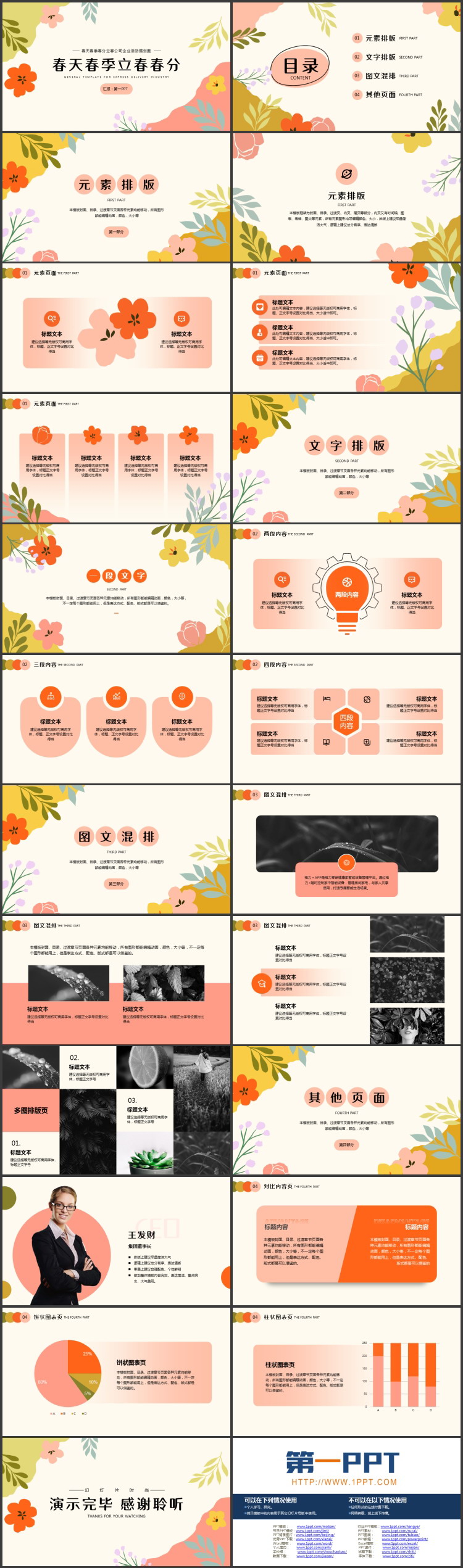 多彩花草背景的春天春季春分立春公司企业活动策划案PPT模板