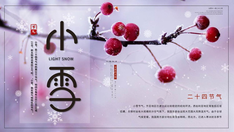 紫色挂霜的红果子背景小雪节气介绍PPT模板