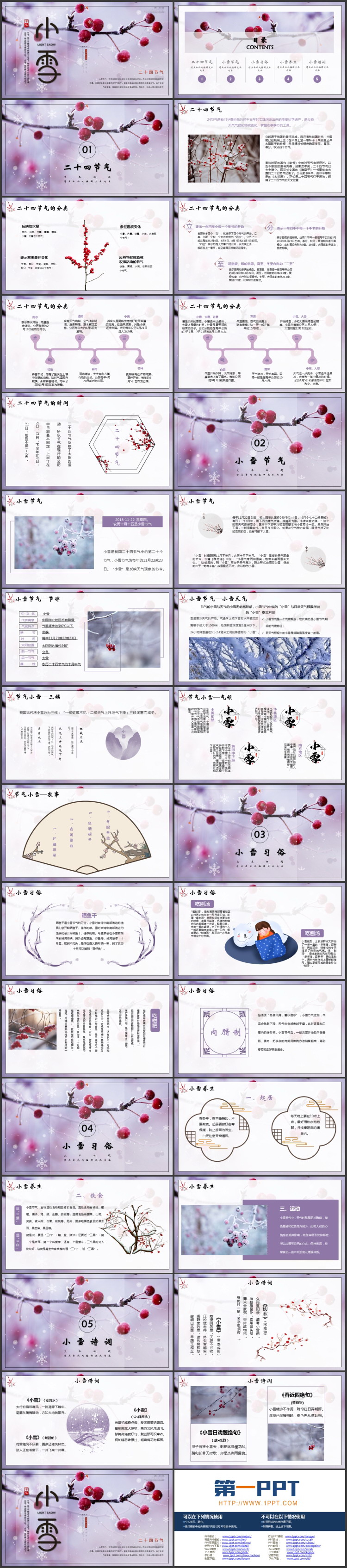 紫色挂霜的红果子背景小雪节气介绍PPT模板