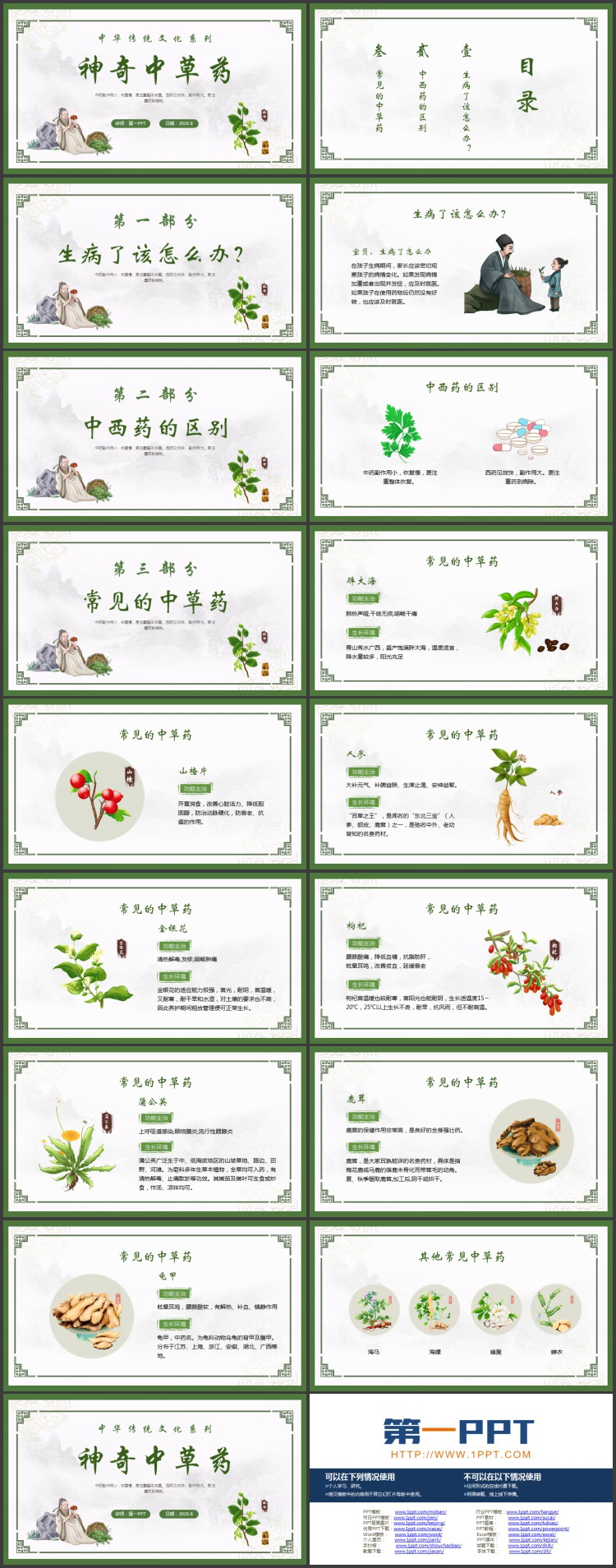 绿色古典风“神奇中草药”中华传统文化系列PPT模板