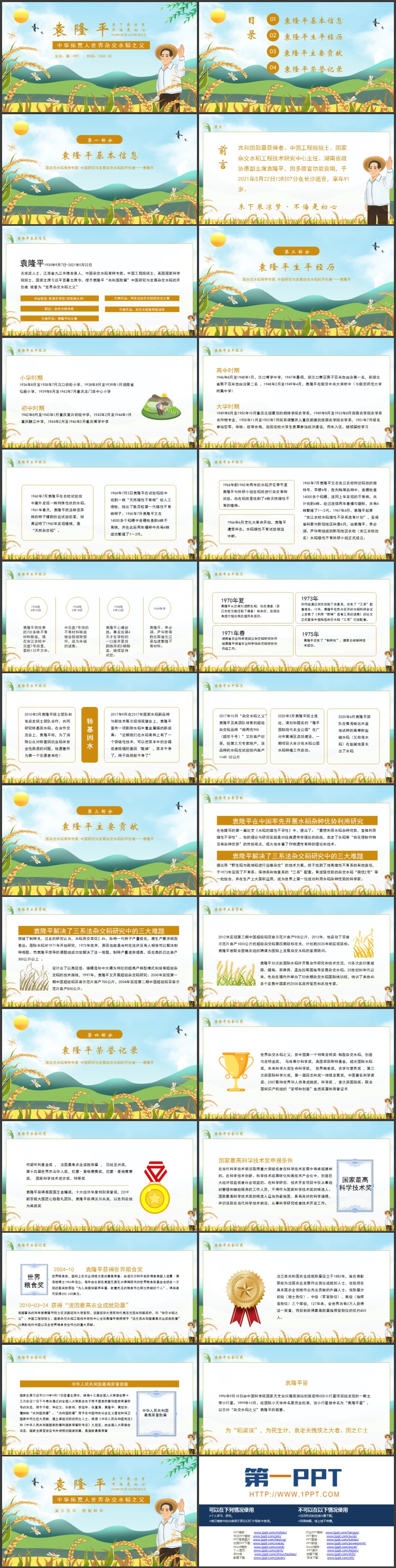 精美卡通风格的杂交水稻之父袁隆平生平介绍PPT下载